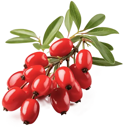 Make America Slim Again ingredient image